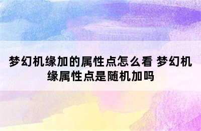 梦幻机缘加的属性点怎么看 梦幻机缘属性点是随机加吗